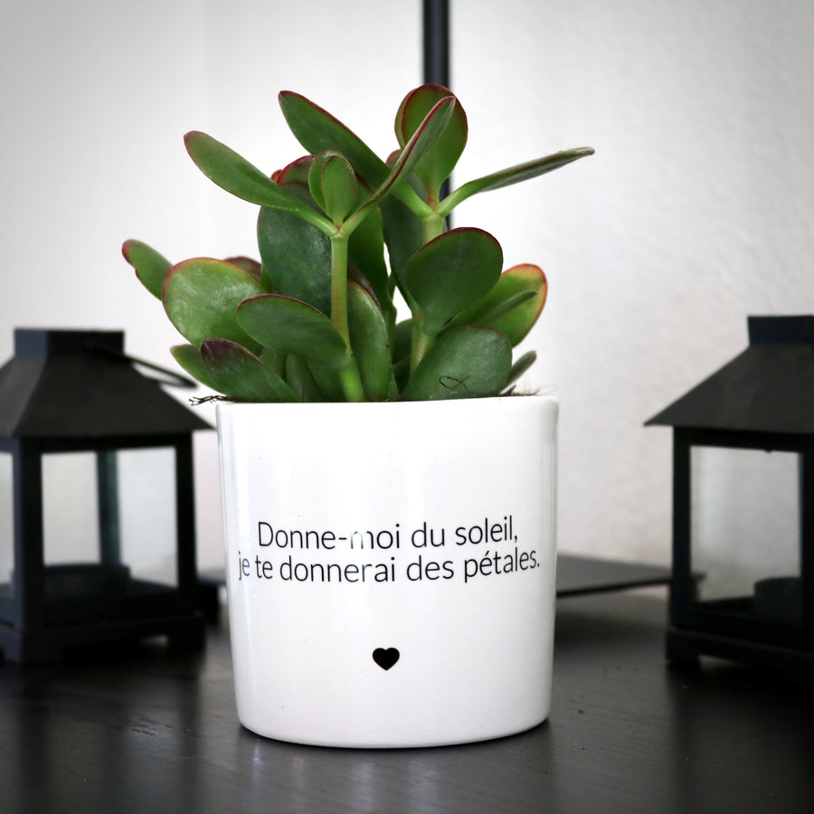 sanoa pots - Donne-moi du soleil, je te donnerai des pétales