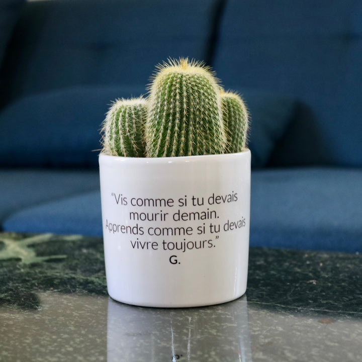 sanoa pots - Vis comme si tu devais mourir demain. Apprends comme si tu devais vivre toujours.